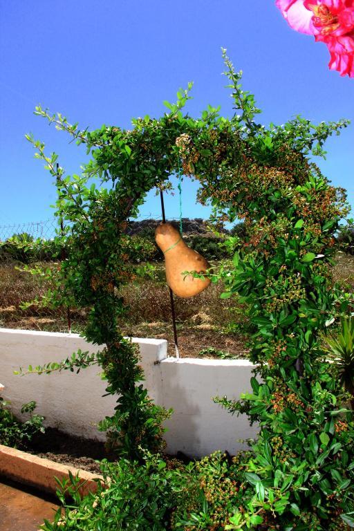 Agathi Studios Haraki Exterior foto